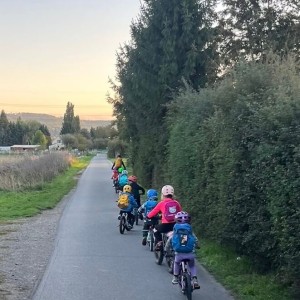 29b7a657-0cb6-48c1-9c81-0ffea730d7dc.jpg -  (29b7a657-0cb6-48c1-9c81-0ffea730d7dcthumb300.jpg)