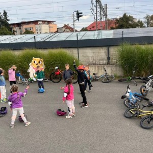 338aa6df-7e64-4e96-b7e1-1eed772804e5.jpg -  (338aa6df-7e64-4e96-b7e1-1eed772804e5thumb300.jpg)