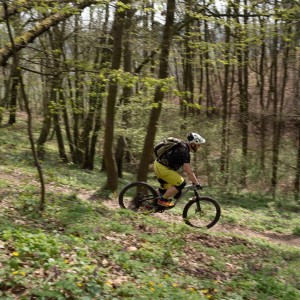 fhe05556.jpg -  (fhe05556thumb300.jpg)